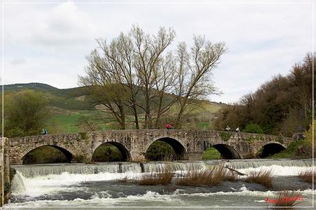 Puente de la Trinidad-Arre-Navarra