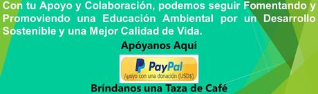Energía Eólica Energía Eólica