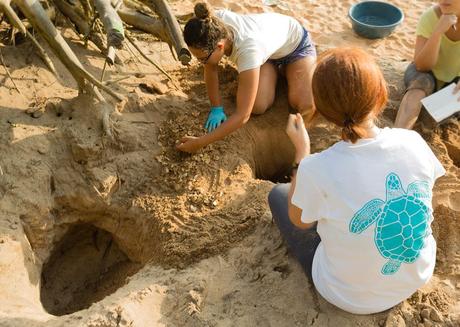 Camisetas.com: el crowdfunding solidario se consolida como principal herramienta para recaudar fondos