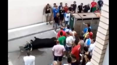 Festejos taurinos “ilegales” en localidades valencianas.
