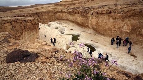 Caminata por el Desierto de Judea. Foto de Yossi Zamir/FLASH90.