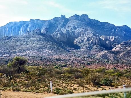 12 mil hectáreas de la Sierra de San Miguelito son decretadas como área natural protegida