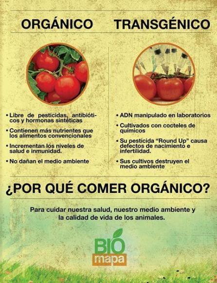 Alimentación sana: productos bio y ecológicos