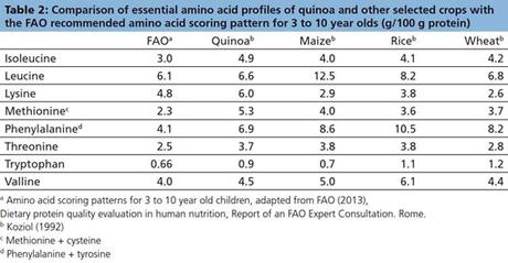 La variedad de la quinoa: tipos y características