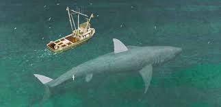 El demonio negro: ¿Megalodón en playas mexicanas?