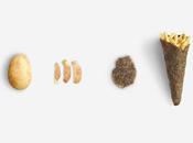 Peel saver: envase para patatas fritas hecho propia piel
