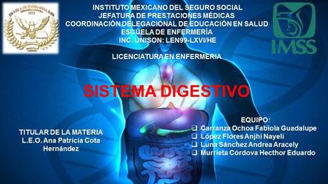 FUNCIONES DEL SISTEMA DIGESTIVO