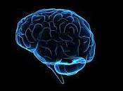 Patrón riesgo para predecir desarrollo Psicosis