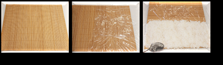 CÓMO HACER MAKI SUSHI CÓMO HACER MAKI SUSHI