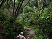 Conoce razones para practicar running