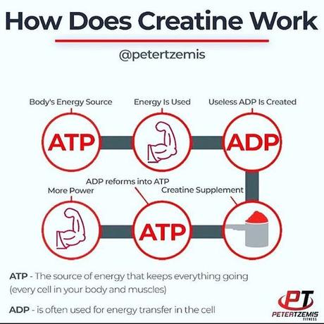 Los beneficios de la creatina en el ciclismo de ruta