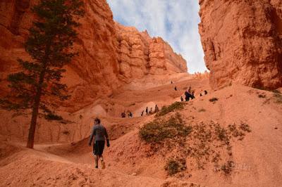 Bryce Canyon, caminando entre hoodoos Bryce Canyon, caminando entre hoodoos