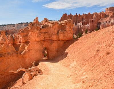 Bryce Canyon, caminando entre hoodoos Bryce Canyon, caminando entre hoodoos