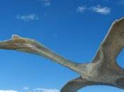Quetzalcoatlus está mal...