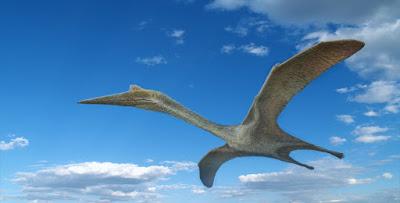 Tu Quetzalcoatlus está mal...