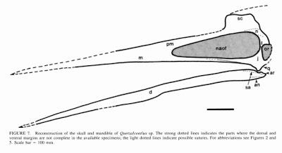 Tu Quetzalcoatlus está mal...