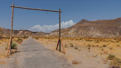 El camino al desierto