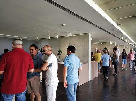 Associacio Bonsái de Vallès en el jardín Botánico Associacio Bonsái de Vallès en el jardín Botánico