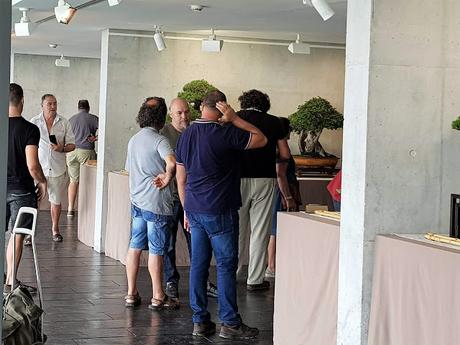 Associacio Bonsái de Vallès en el jardín Botánico Associacio Bonsái de Vallès en el jardín Botánico