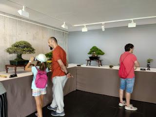 Associacio Bonsái de Vallès en el jardín Botánico Associacio Bonsái de Vallès en el jardín Botánico