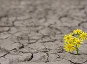 Claves para construir liderazgo resiliente