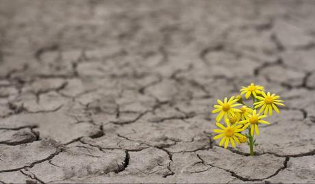 Claves para construir un liderazgo resiliente Claves para construir un liderazgo resiliente