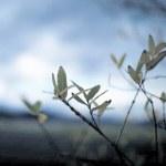 #gallery-3954-3 { margin: auto; } #gallery-3954-3 .galler...