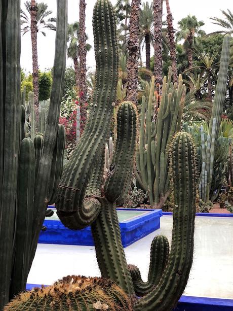 Fabtravels: Marrakech (5ª Parte) Fabtravels: Marrakech (5ª Parte)