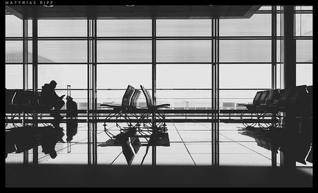 La ignorancia - Milan Kundera