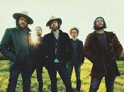 Magpie Salute España