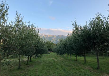 El Romano - Visita a un lagar de sidra