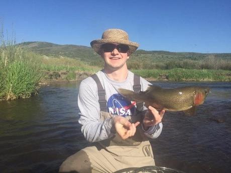 20 fotos tomadas antes de caerse o del golpe