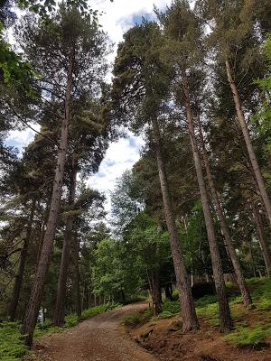PARQUE FAUNÍSTICO LA CUNIACHA