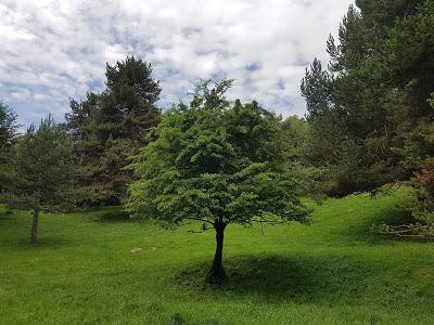 PARQUE FAUNÍSTICO LA CUNIACHA