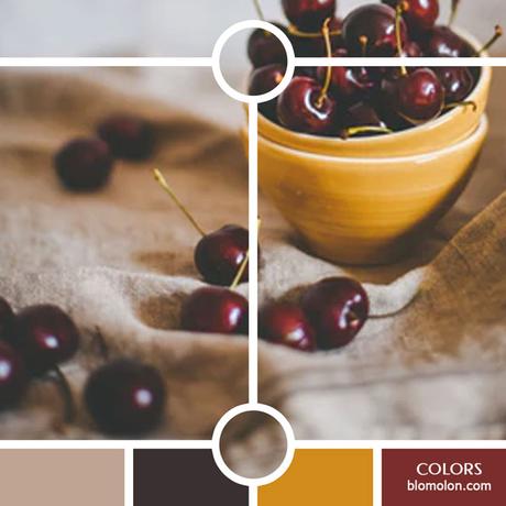 Variedad En Color 10 MoodBoard