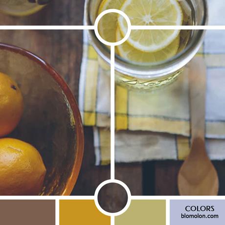 Variedad En Color 10 MoodBoard