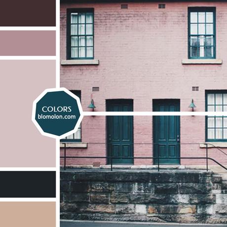 Variedad En Color 10 MoodBoard