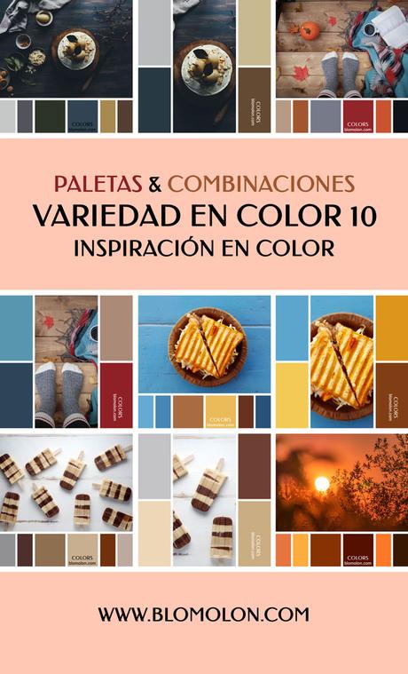 Variedad En Color 10 MoodBoard