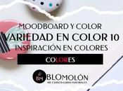 Variedad Color MoodBoard