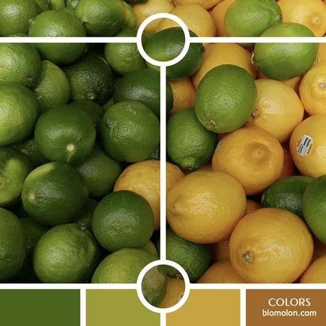 Variedad En Color 10 MoodBoard