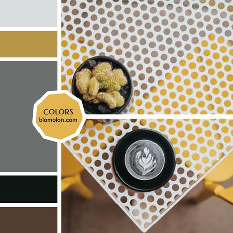 Variedad En Color 10 MoodBoard