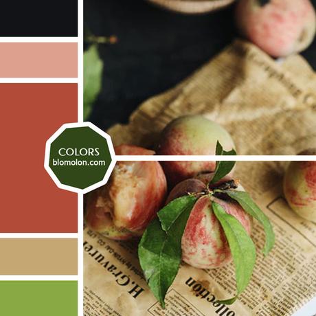 Variedad En Color 10 MoodBoard