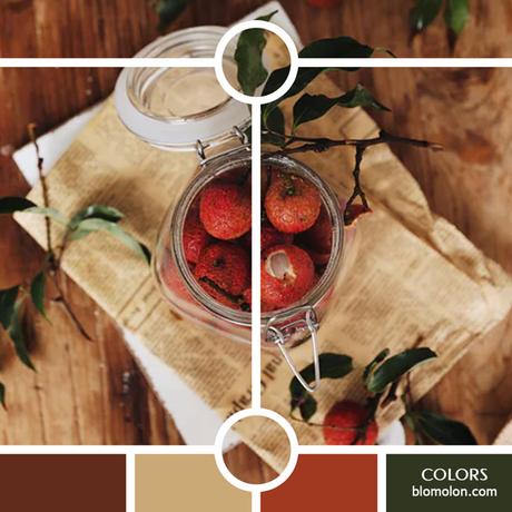 Variedad En Color 10 MoodBoard