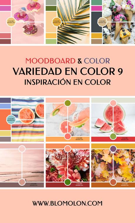 Variedad En Color 10 MoodBoard