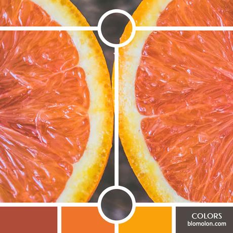 Variedad En Color 10 MoodBoard