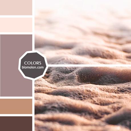 Variedad En Color 10 MoodBoard Variedad En Color 10 MoodBoard