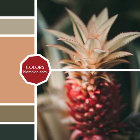 Variedad En Color 10 MoodBoard