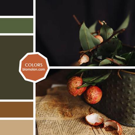 Variedad En Color 10 MoodBoard Variedad En Color 10 MoodBoard