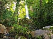 Pequeña catarata serenidad felicidad