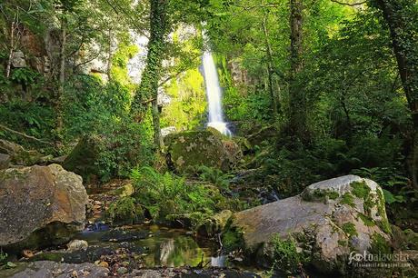 Pequeña catarata de serenidad y felicidad - Fotografía